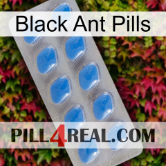 Black Ant Pills 22